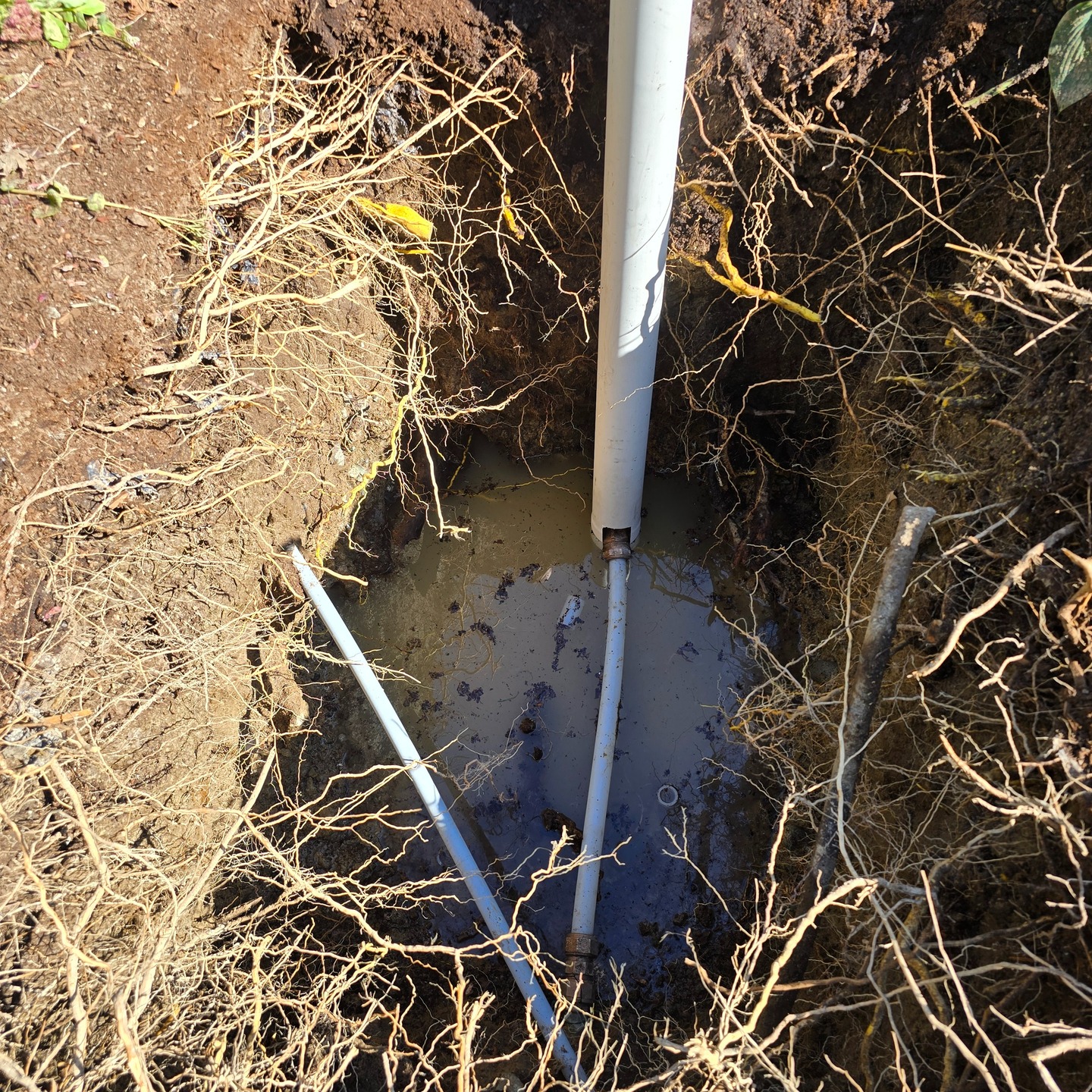 Clearset Hydrovac daylighting a leaking water line at a strata complex